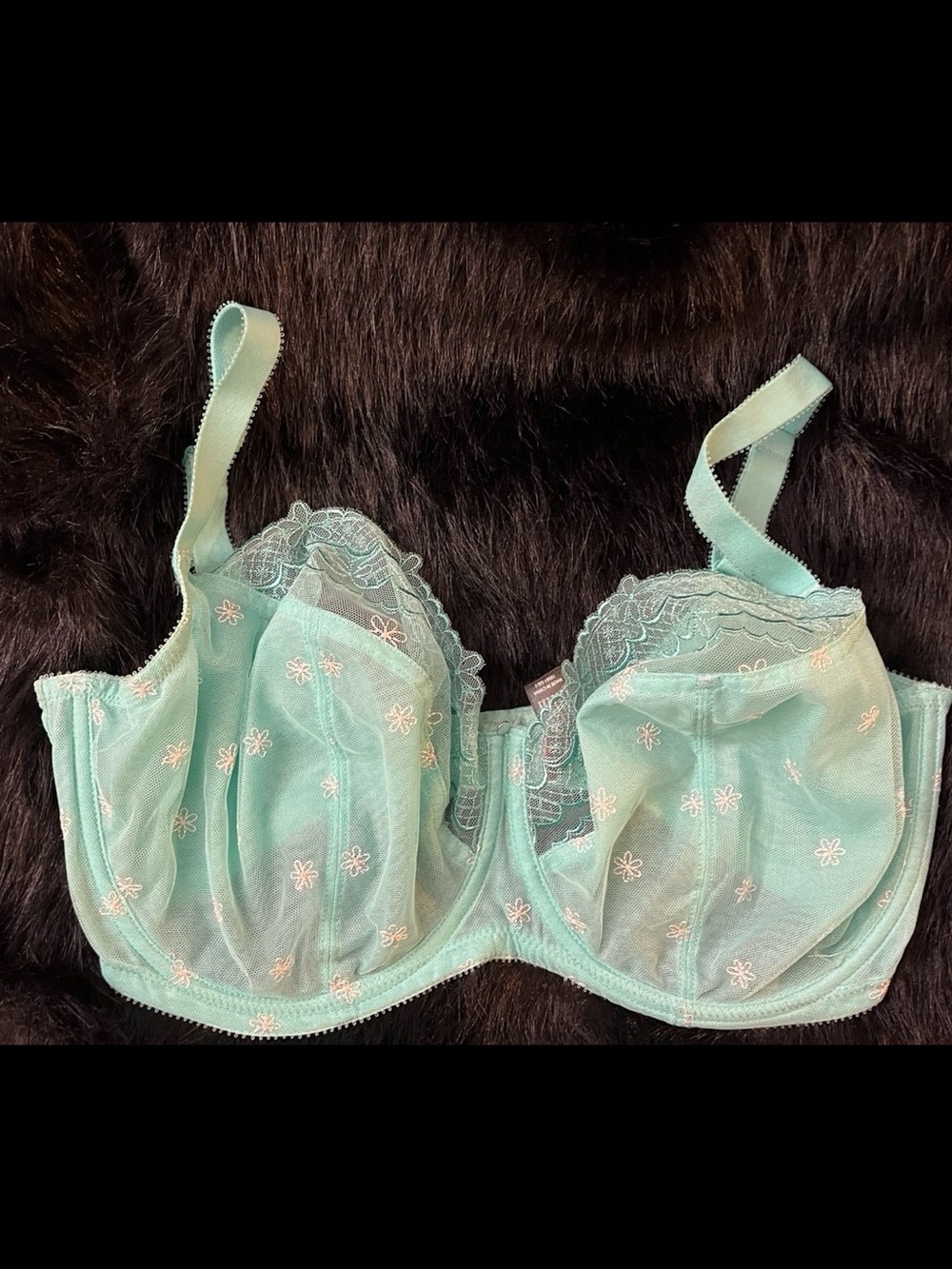 Cleo by Panache Blossom 10581 Mint Floral Sheer Underwire Bra 34H